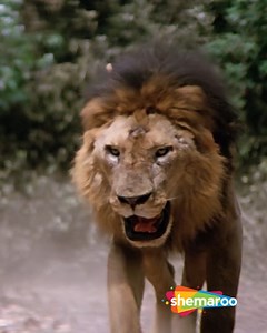 6.9M views · 56K reactions | Mere Paas Aaoge Mere Saath Nachoge |...