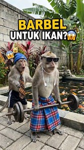 4.9K reactions · 416 shares | Duo monyet koplak lagi bahas dunia per-BARBEL-an didepan kolam ikan  hmm.. ada apa dengan Barbel? 樂 #funnyanimals #funnypet #funnyvideo #animalvideo #animalcomedy #komedihewan #sketsakomedi #hiburan #meme #ai | Andika Anjar Aditya | Facebook