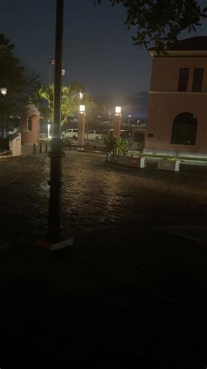 Hearing a Coquí Frog in Puerto Rico at Night | Pure Island Sound