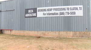 Hemp farming and processing facility coming to Slaton