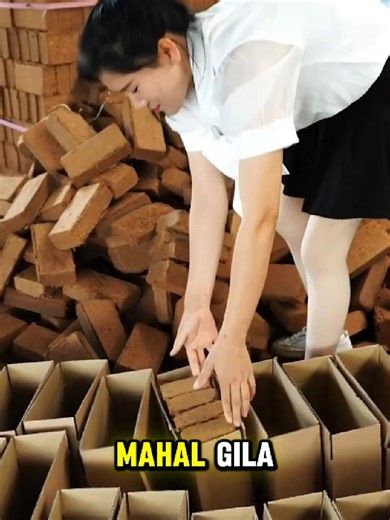 Maximize Your Garden with Cocopeat Bricks