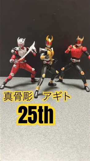 So cool, it's making my soul burn! S.H.Figuarts (True Bone Carving Method) Kamen Rider Agito Gran...
