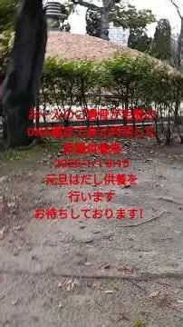 お一人のご遺骨が毛髪のDNA鑑定で身元判明した原爆供養塔 2026/1/1 8:15 元旦はだし供養 お待ちしております！