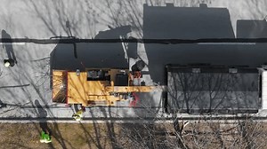 Tree cutting services worker loading cut tree branches into the wood chipper machine for shredding. Top down shot