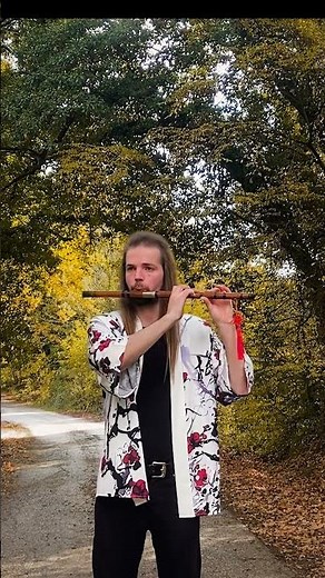 Kung Fu Panda - Oogway Ascends #dizi #erhu #asianmusic #relaxingmusic