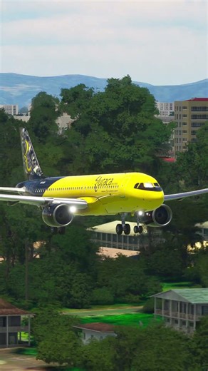 the plane flies out of control Ep.382