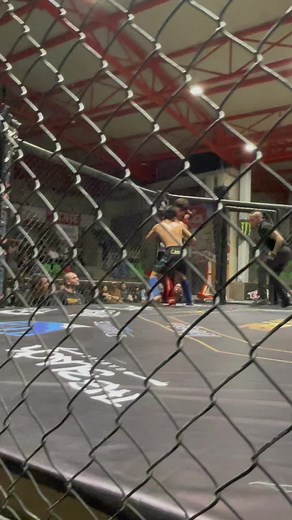 MMA Techniques: Striking and Grappling Explained