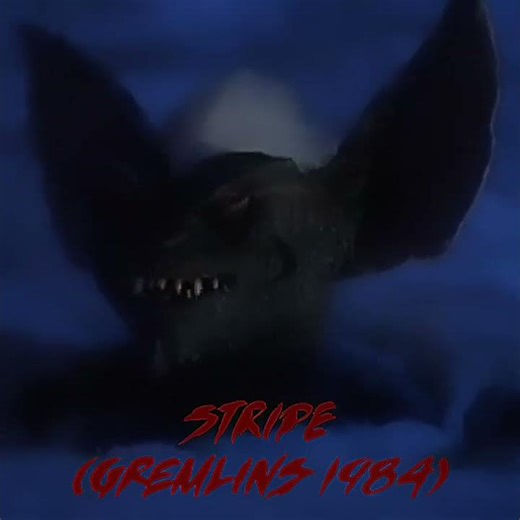 Stripe (gremlins 1984) vs Miss Circle (fundamental paper education 2024)