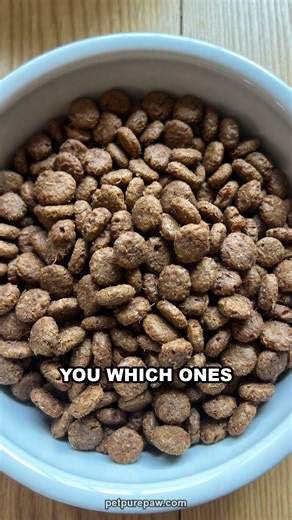 I tested the 5 best-selling dog foods in America