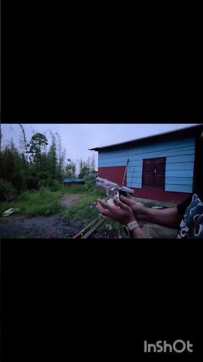 Taurus PT92 .32ACP Test shot