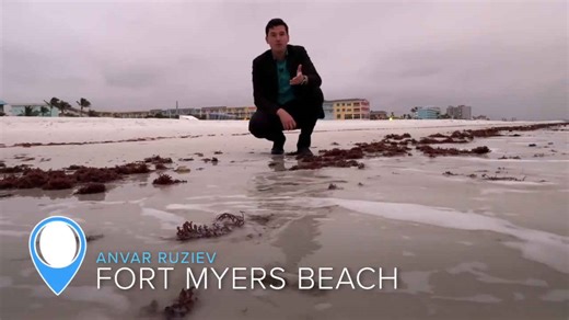 "What's in the Water?" F.G.C.U. study reveals state of Fort Myers Beach waterways