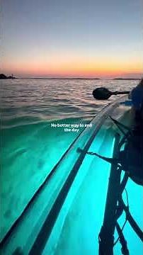 Relax at the end of a fun-filled day on a clear kayak tour of Shell Key Preserve! #shorts
