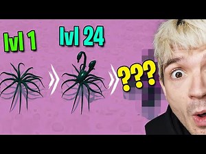 Máte Rádi Chapadla?