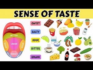 Learn Sense of Taste for Kids | Easy Science Learning with Fun Examples | 5 Basic Tastes Explained