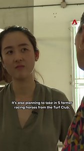 23K views · 4.9K reactions | How is contact tracing done? Watch how one country is "leaving no stone unturned”: https://cna.asia/3csa0fT | CNA | Facebook