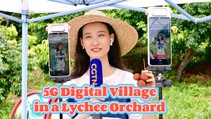 17K views · 126 reactions | This year's lychees are particularly...