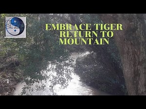 you tube embrace tiger return to mountain