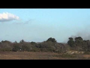 Lapwings calling in the New Forest