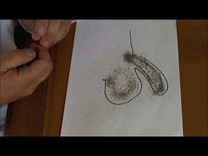 How to Stop Itchy Balls Fast! Get Your Life Back - No Shame - Just Fast Healing and Your Old Self