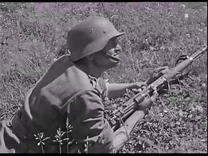 The 29th Infantry Division was a unit of the German army created in the fall of 1936. It was based on the old Reichswehr 15th Infantry Regiment and drew its initial recruits from Thuringia. It was upgraded to 29th Motorized Infantry Division in the fall of 1937. The division was also known as the Falke-Division (Falcon Division). The division was mobilized in August 1939 and joined the XIV Corps of the German 10th Army for the invasion of Poland. It took part in the encirclement of Polish forces