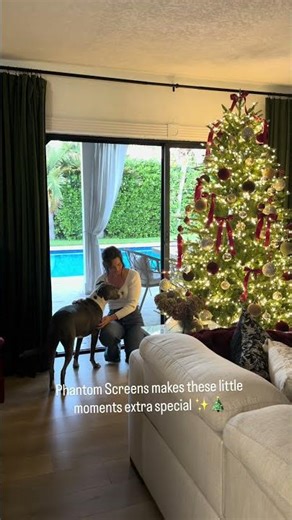 Christmas Decor | Morgan Elizabeths | Phantom Screens