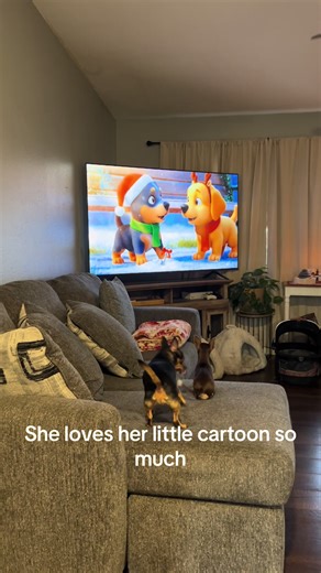 Louise Ann Falzerano (@louiseannfalzeran)’s videos with original sound - Louise Ann Falzerano