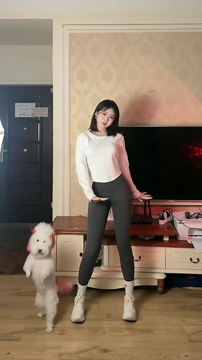 Engaging Moments with a Fluffy Dog and Its Owner