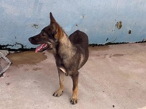 21K views · 793 reactions | Ich dachte, die wollen mich! Leider...