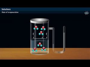 Vapour Pressure Definition & Experiment