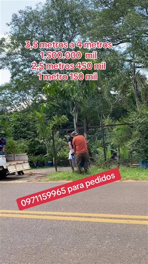 Videos de Todo para tu jardín (@luisovelarenvios) con “sonido original - R-BIT_MUSIC”