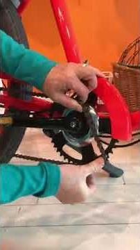 Pedego Chain Fix