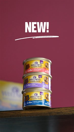 Prepare for a very demanding meow! Wellness Complete Health Grilled is HERE🎉 Made with high-quality, grain-free ingredients and real protein as the #1 ingredient, our new wet cat food delivers a delicious grilled taste even picky cats will love. Available in these flavors: ✨ Tuna, Mackerel & Shrimp ✨ Salmon & Chicken ✨ Beef & Lamb ✨ Turkey & Turkey Liver Which flavor is your cat going for first? | Wellness Pet Food