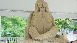 28K views · 399 reactions | It's complete! The sand castle by the outstanding Sandy Feat team is finished and you can see the sculpture in the front of the Aquarium when you visit. The theme this year is sea turtles and their adventures at the beach. Here's a short timelapse of the roughly 3-day process. | NC Aquarium at Pine Knoll Shores | Facebook