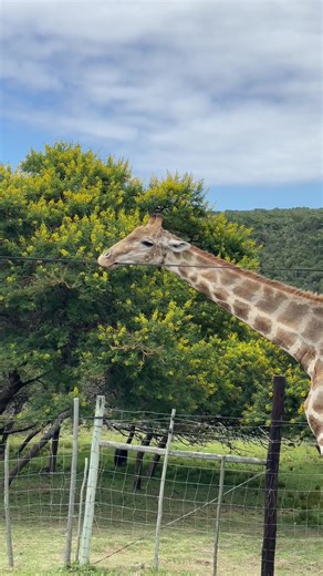 Exploring East London: Fun Activities and Guests