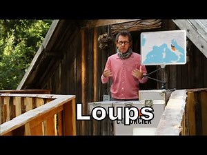 Y a-t-il des loups en France ? - C'est Pas Sorcier