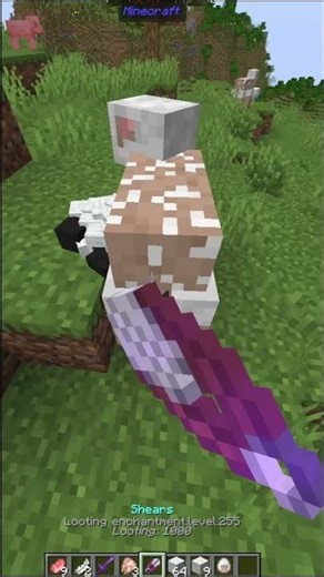 POBRE OVEJA 😔 #coding #gracioso #minecraft #tutorial