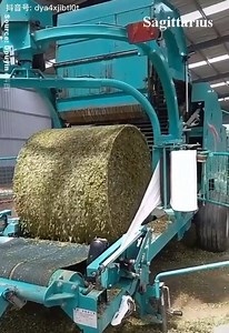 417K views · 589 reactions | Can't stop watching :o | Brandon Bowen | Facebook