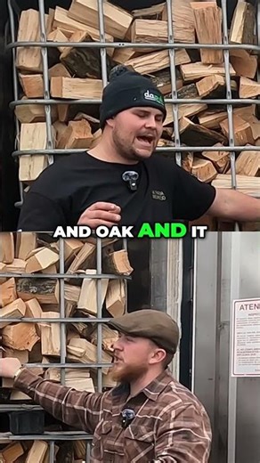 Silver Birch vs Sycamore