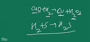 Explain redoxreaction with example. SECTION - B (30 marks) 3. W... | Filo