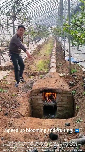 Wood stoves heat cherry greenhouses! 🌸