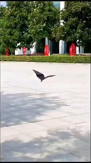 viral bat flying paper plane|how to fold flapping paper airplane #diy