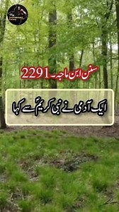 Hadith in Urdu ✍️🥀 || Reels Hadees 🌹|| Best Islamic Hadith Of Prophet Muhammad PBUH 🌷 || Hadees Sharif in Urdu 💞 || Hadees Nabvi || Asaan Hadees || Hadees Mubarak || Collection of Urdu Hadith Reference Hadith: . . . . #Hadith #hadees #hadis #hadithoftheday #hadithoftheprophet #HadithofProphetMuhammad #hadeesoftheday #hadeessharif #hadeesepaak #HadeeseNabvi #hadeesinurdu #hadisnajafi #hadisnabi #hadisbukhari #reelschallenge #reelkarofeelkaro #reelsfbシ #reelsfypシ #reelsfacebook #reelsviralfb #