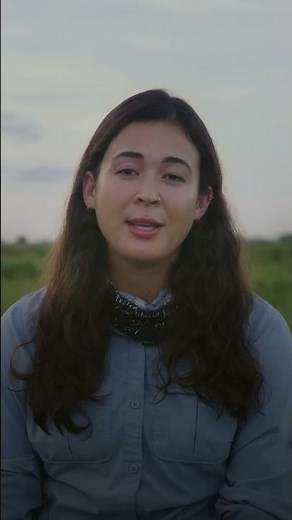 The resilience of Florida grasshopper sparrows | The Little Brown Bird