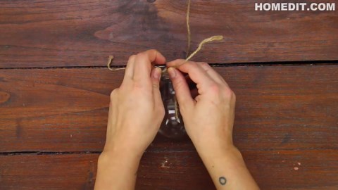 DIY a Hanging Flower Vase from a Light bulb
