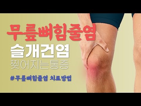 무릎뼈힘줄염 무릎앞쪽통증이 있으시면 고중량스쿼트는 조심하세요