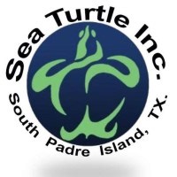 Sea Turtle, Inc. | LinkedIn