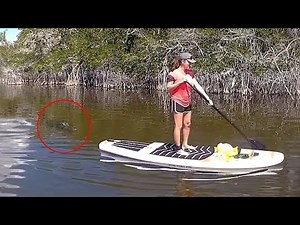 6 Begegnungen Mit Krokodilen, Die Sie Nicht Sehen Sollten (Teil 4)