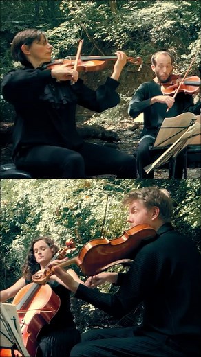 In this al fresco performance, the Ariel Quartet performs Beethoven op.59 no.3, as it releases its second instalment of complete Beethoven string quartet recordings on Orchid Classics 🎻check out the full video in the comments Jensen Artists MKI Artists | The Strad
