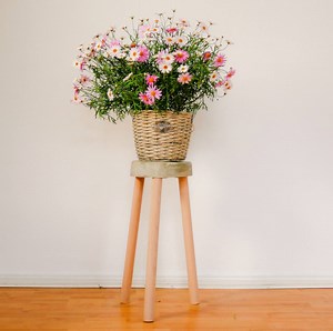 101K views · 815 reactions | Simple et rapide : faire son tabouret en...