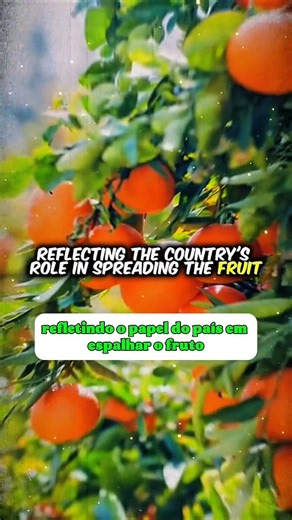 A influência da língua portuguesa no mundo é vasta e pluricontinental, e o exemplo da palavra "laranja" ligada ao nome de Portugal é uma das curiosidades mais fascinantes dessa herança. #portugal #heritage #tradition #ancestral #history #travel #localtours #tourism #tour #lisboa #sintra #cascais #Porto #aveiro #algarve #transfers #lovestory | Lisboa Tours